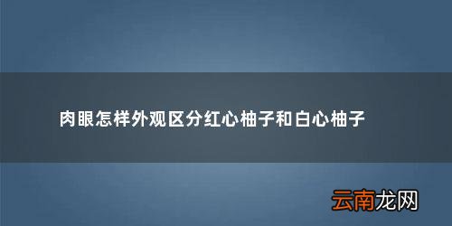 红肉柚子和白肉柚子有什么区别图片 肉眼怎样外观区分红心柚子和白心柚子