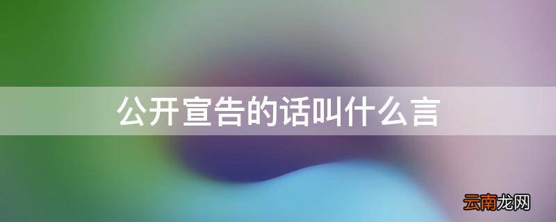 公开宣告的话叫什么言