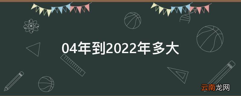 04年到2022年多大