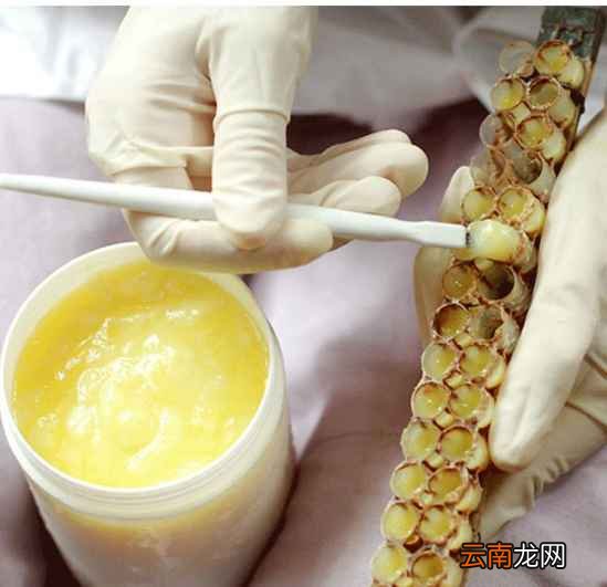 孕期进补吃什么最好 这些补品你别吃