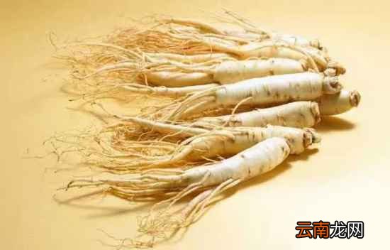 孕期进补吃什么最好 这些补品你别吃