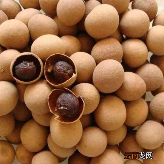 孕期进补吃什么最好 这些补品你别吃