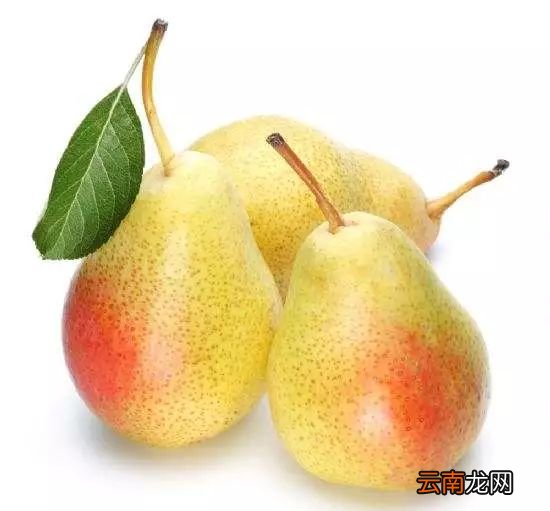 化痰止咳的食物 咳嗽不好吃什么好