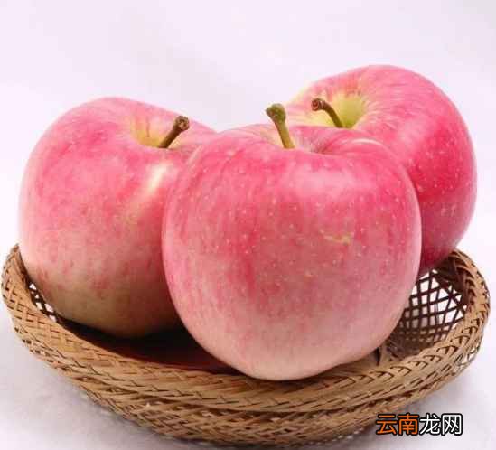 化痰止咳的食物 咳嗽不好吃什么好