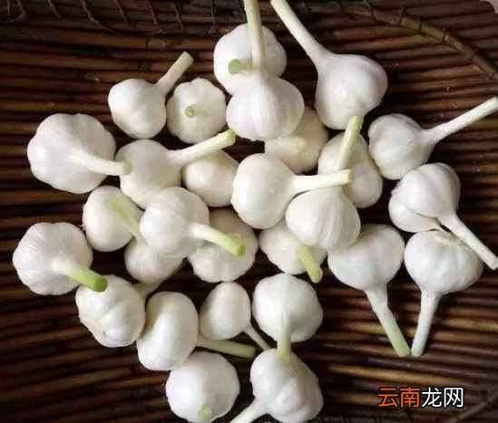 腌糖蒜的做法 腌糖蒜怎么制作好吃