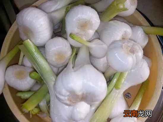 腌糖蒜的做法 腌糖蒜怎么制作好吃