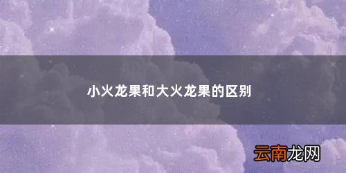 小火龙果和大火龙果的区别
