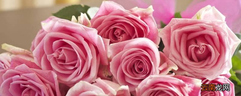 花束需要过传送带吗