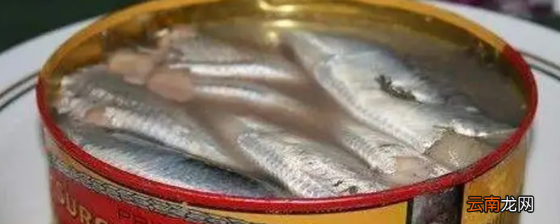 鲱鱼罐头到底有多臭