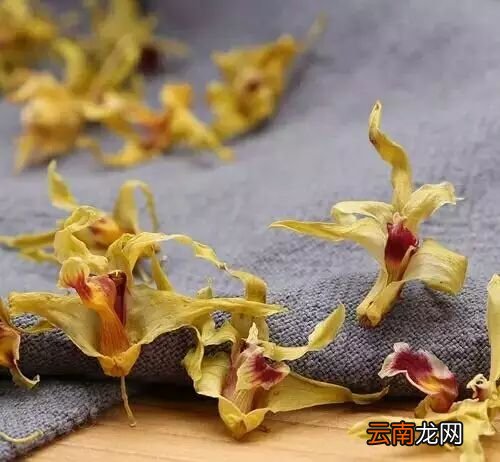 铁皮石斛花的功效与作用 它竟然还有这种作用