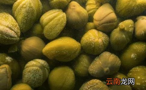 醉酒后吃什么食物最好 这些食物有效助你醒酒