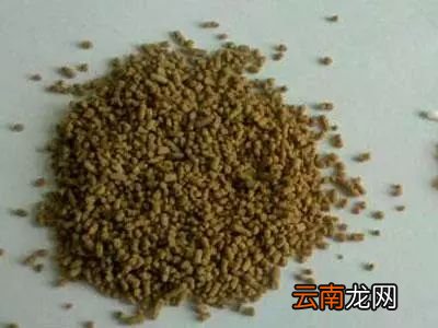 什么食物解酒最快 解酒多吃这些食物好