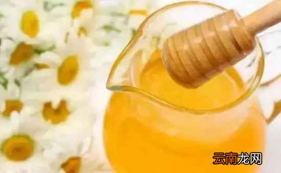 什么食物解酒最快 解酒多吃这些食物好