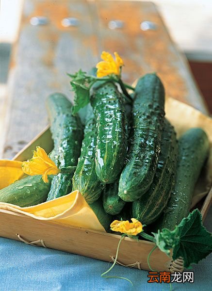 紫苏煎黄瓜的做法 黄瓜这样炒好吃极了