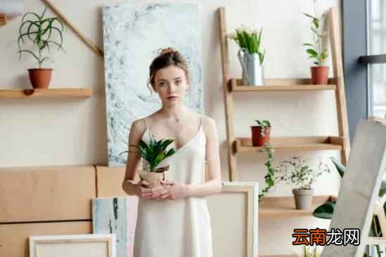 长期早起有什么好处 这七大好处你知道吗