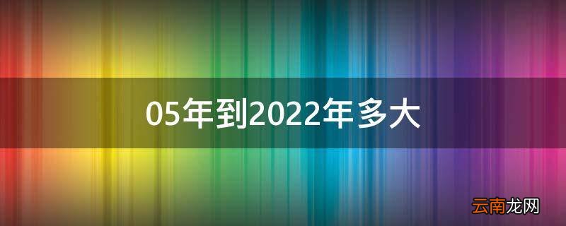 05年到2022年多大