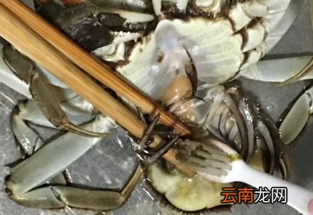 大闸蟹没有洗干净怎么处理