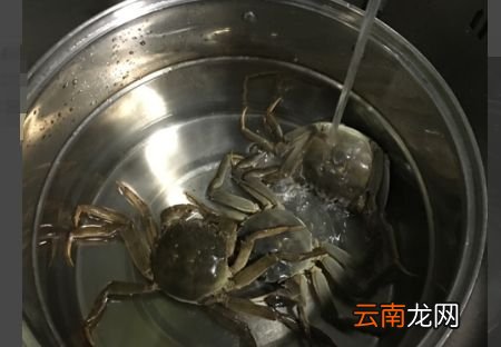 大闸蟹没有洗干净怎么处理