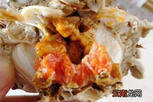 大闸蟹没有洗干净怎么处理