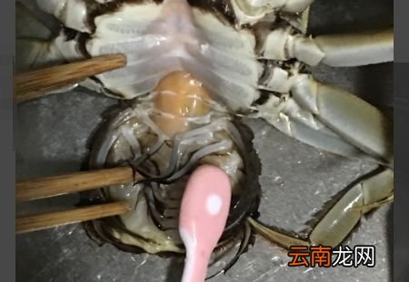 大闸蟹没有洗干净怎么处理