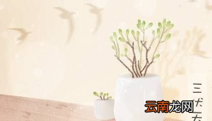 为什么在三伏天调理身体最好