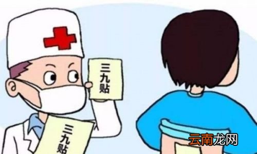 为什么在三伏天调理身体最好
