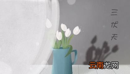 为什么在三伏天调理身体最好