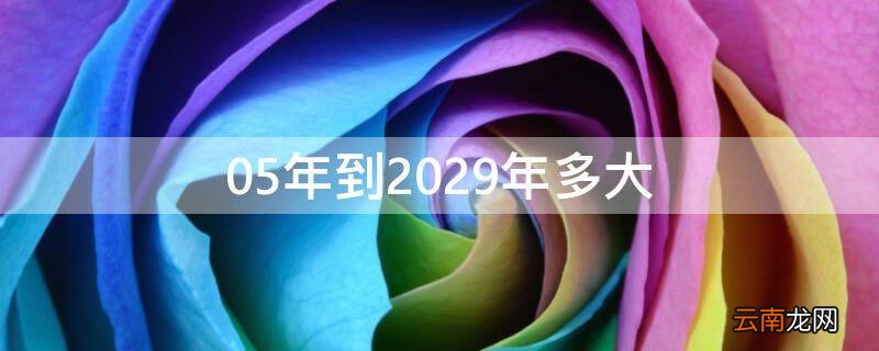 05年到2029年多大