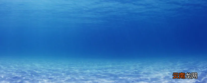 海洋和陆地哪个面积大