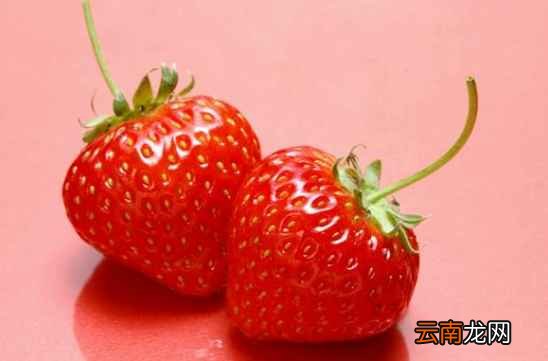 自己在家怎么种草莓 只需五步即可搞定