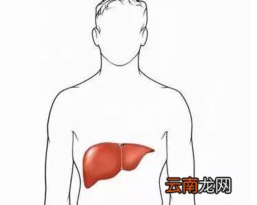 肝脏不好有什么表现 这10个护肝法一定要记住