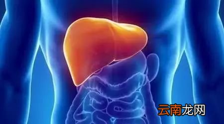 秋冬如何养肝护肝 一部“养肝手册”分享给大家