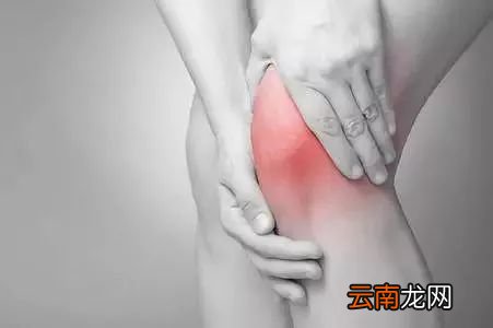 得了痛风喝什么好 大家可经常用它泡水喝哟