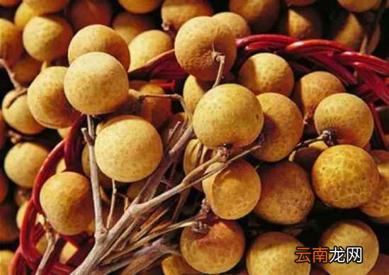 高热量的水果有哪些 这些水果比吃肉还易胖