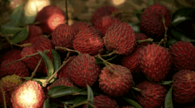 高热量的水果有哪些 这些水果比吃肉还易胖