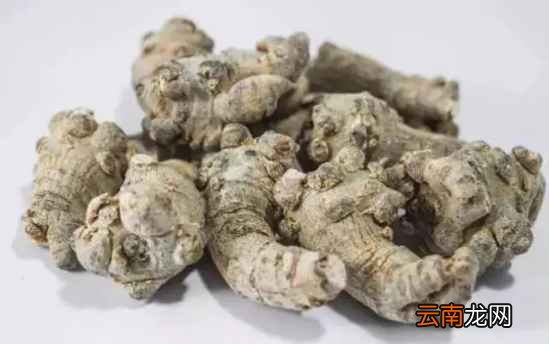 养生中药的功效 要长寿就多吃这些中药