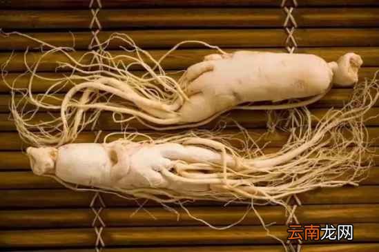 养生中药的功效 要长寿就多吃这些中药