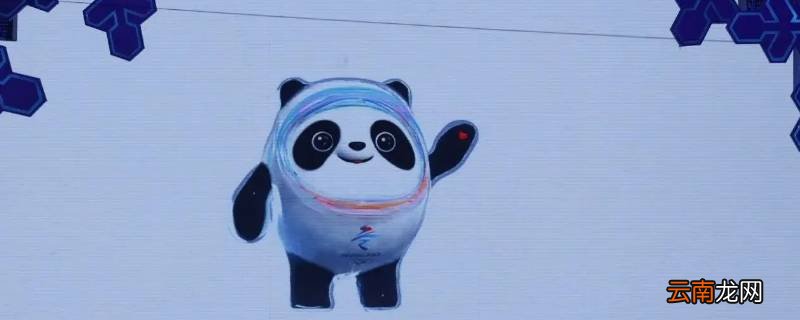 冰墩墩为什么有个壳