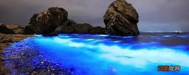 荧光海在什么情况下能够出现