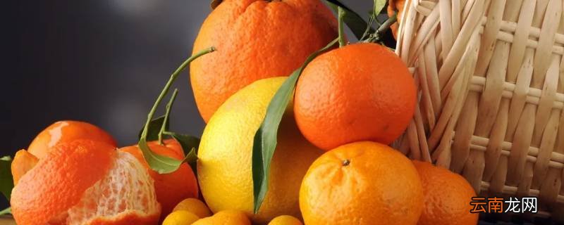 1998年香蕉和柑橘哪个是产量之首