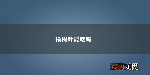 榆树上的叶子能吃吗 榆树叶能吃吗