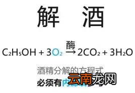 快速解酒的方法 超级实用的解酒方法