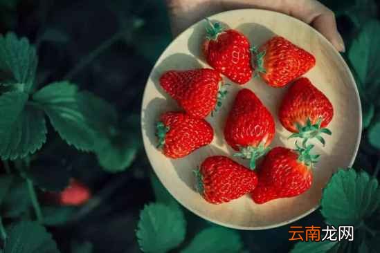 怎么简单洗草莓 别再只用水冲了