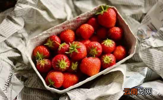 怎么简单洗草莓 别再只用水冲了