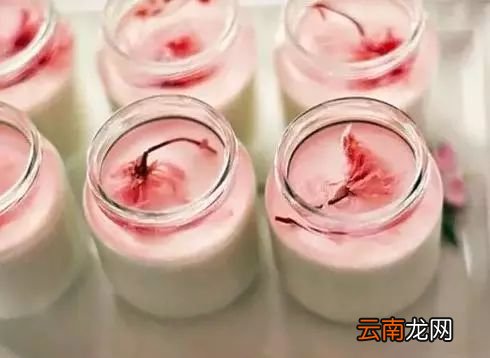 自己在家怎么做布丁 这9种做法分享给大家