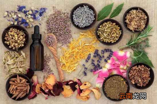 女性喝什么花茶最好 教你用“花”养生