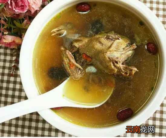 鸽子汤怎么炖最营养 女性常喝错不了