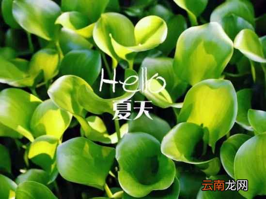 排寒湿的方法有哪些 寒湿重对身体危害很大
