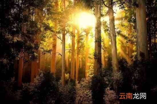 排寒湿的方法有哪些 寒湿重对身体危害很大