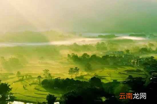 排寒湿的方法有哪些 寒湿重对身体危害很大